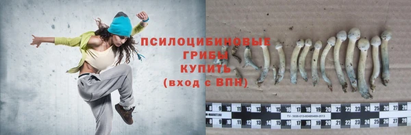 прущие грибы Пролетарск