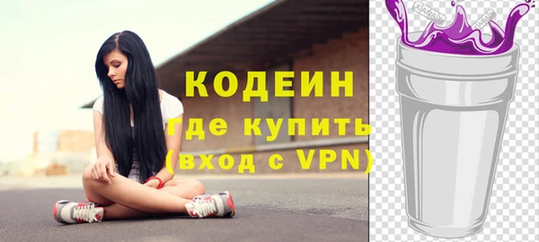 ГАЛЛЮЦИНОГЕННЫЕ ГРИБЫ Богданович