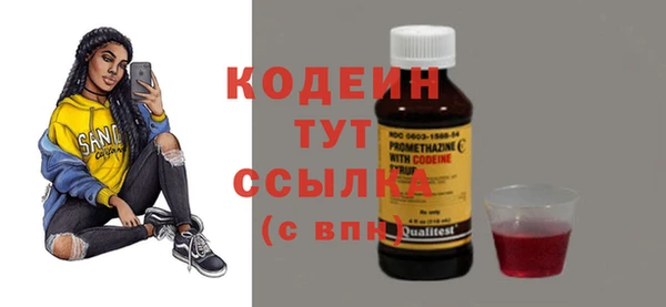 ГАЛЛЮЦИНОГЕННЫЕ ГРИБЫ Богданович
