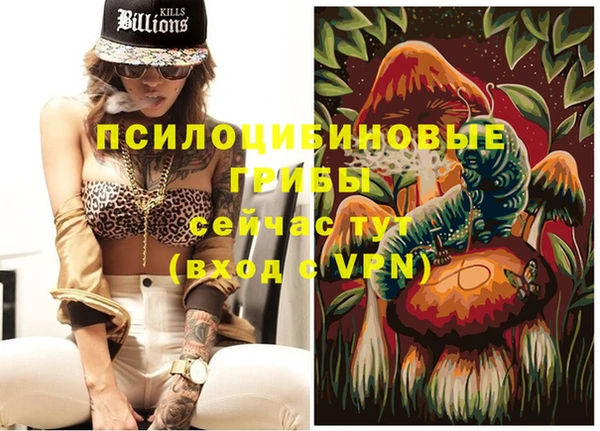 ГАЛЛЮЦИНОГЕННЫЕ ГРИБЫ Богородск