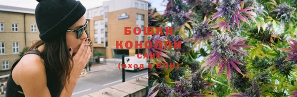 ГАЛЛЮЦИНОГЕННЫЕ ГРИБЫ Богданович