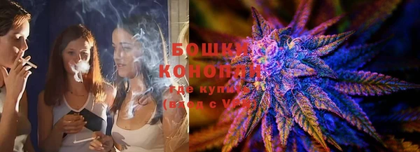 ГАЛЛЮЦИНОГЕННЫЕ ГРИБЫ Богданович