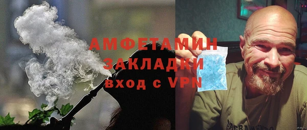 ГАЛЛЮЦИНОГЕННЫЕ ГРИБЫ Богданович