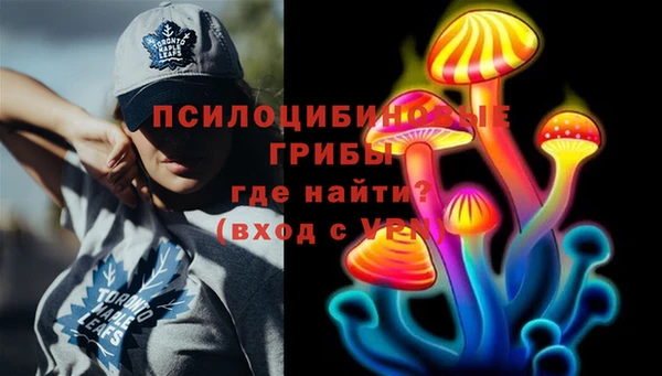 ГАЛЛЮЦИНОГЕННЫЕ ГРИБЫ Богданович