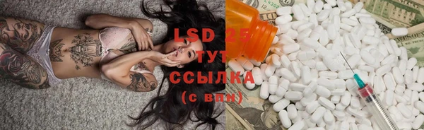 ГАЛЛЮЦИНОГЕННЫЕ ГРИБЫ Богданович