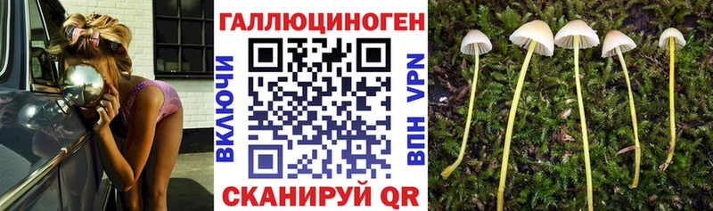 Псилоцибиновые грибы MAGIC MUSHROOMS  сколько стоит  Котлас 