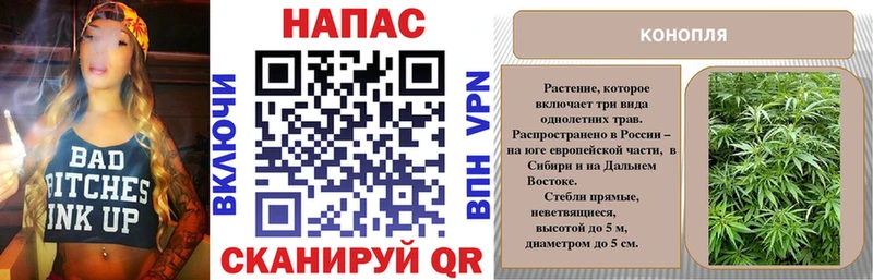 Конопля OG Kush  KRAKEN как войти  Котлас  наркота 